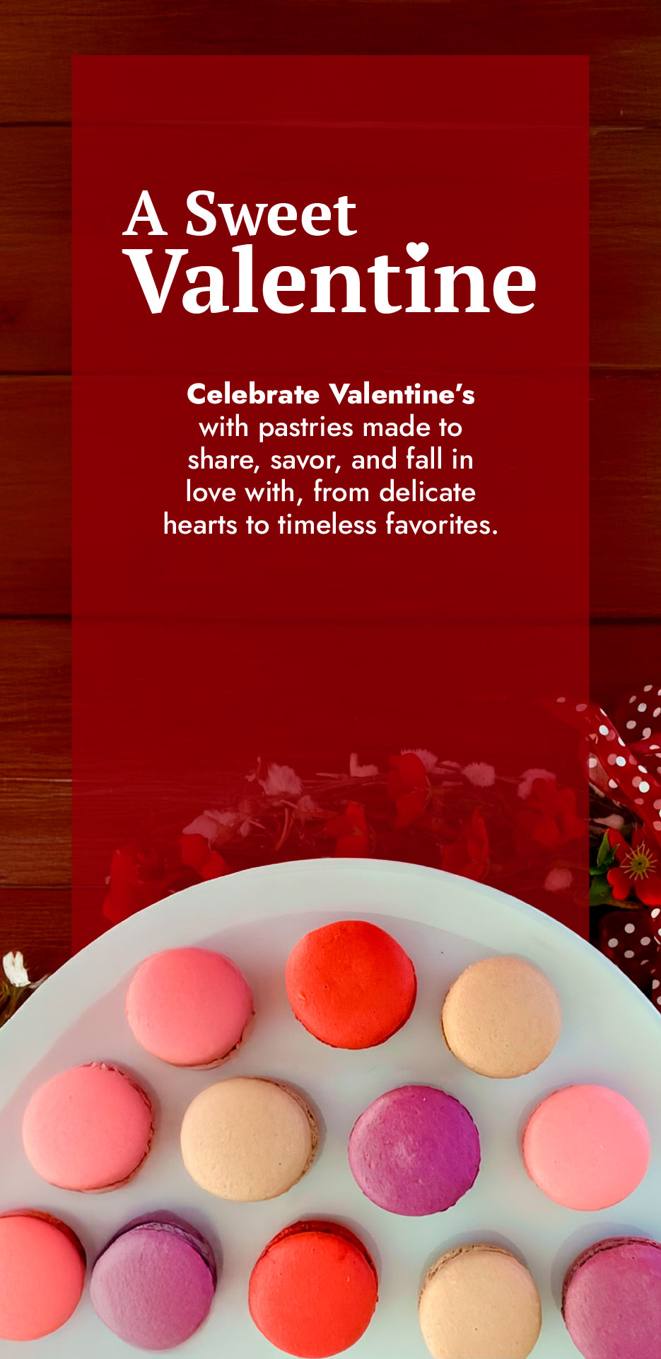 Valentine's Day Banner